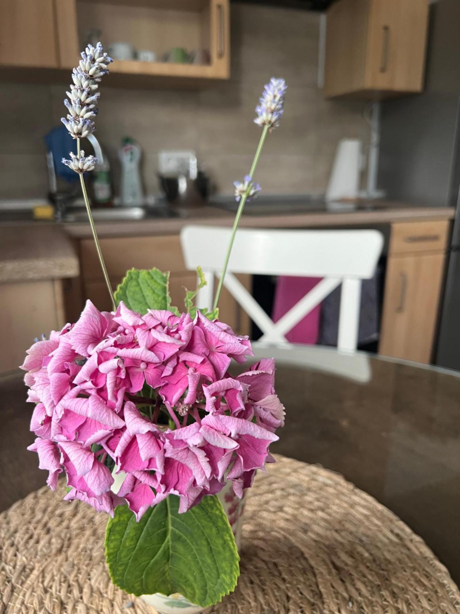 Auszeit Im Pott - Ferienwohnung Lavendel Herten  Exteriér fotografie