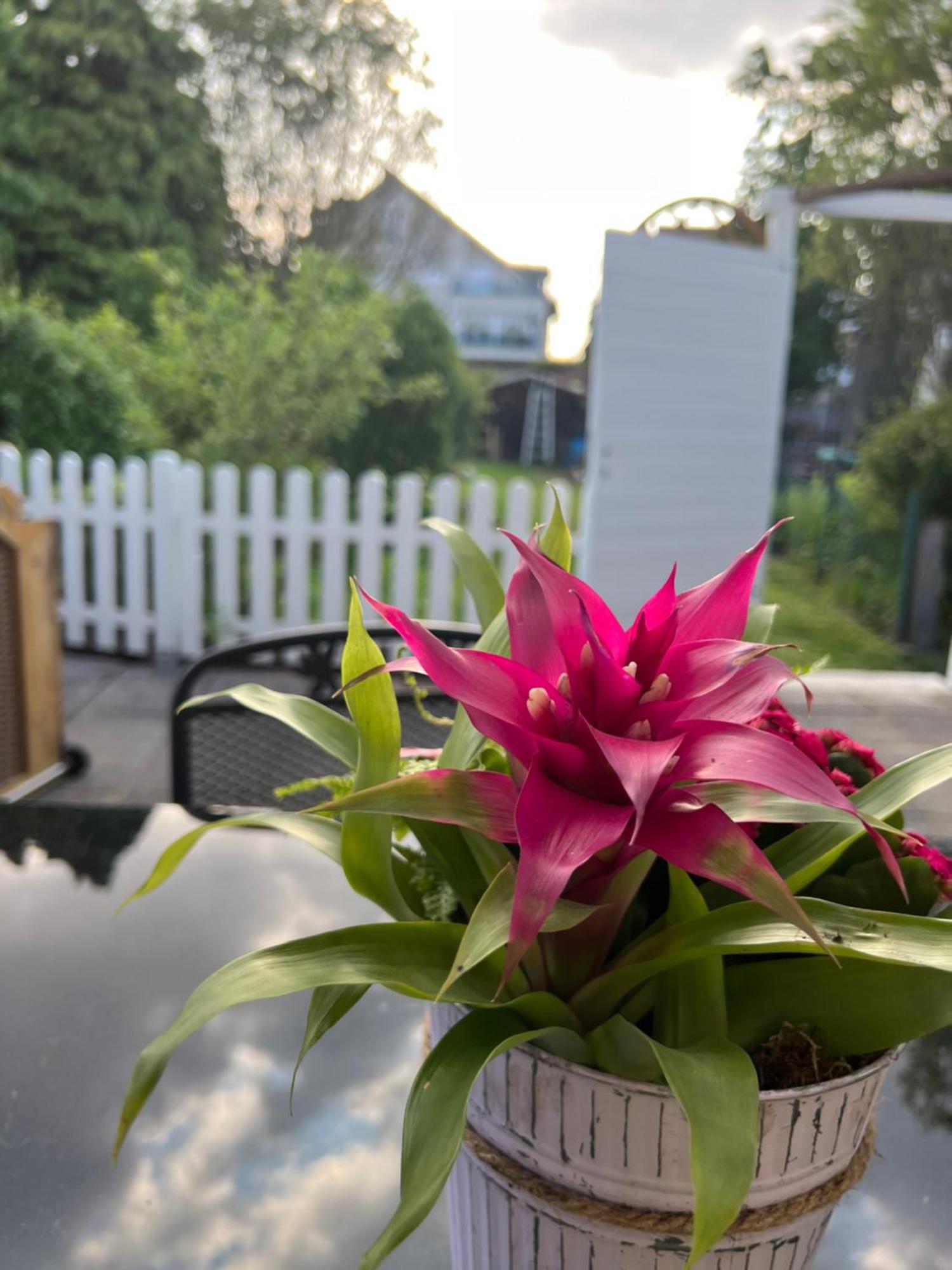 Auszeit Im Pott - Ferienwohnung Lavendel Herten  Exteriér fotografie